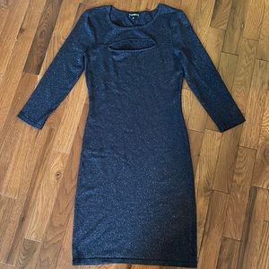 Express BodyCon Sparkly Mini Dress
